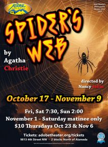 SPIDER'S WEB